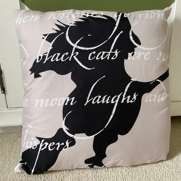 NWOT! The Lakeside Collection Halloween Witch and Text 18x18 Decorative Pillow - Picture 2 of 5